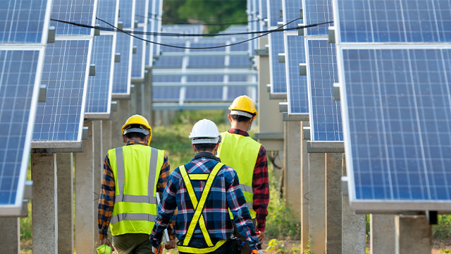 Three male workers wearing personal protective equipment walking through a solar panel farm